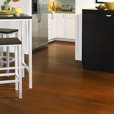 American Maple / Auburn