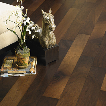American Walnut / Natural