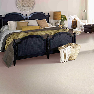 Lv And Supreme Rug Area Rug Floor Decor - Peto Rugs