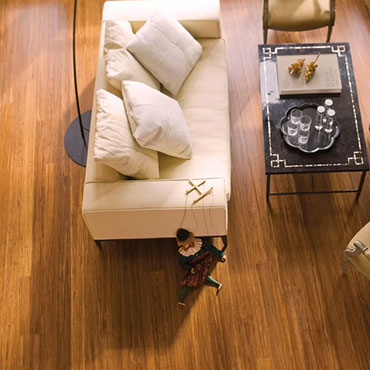 Benefits of Bamboo Flooring