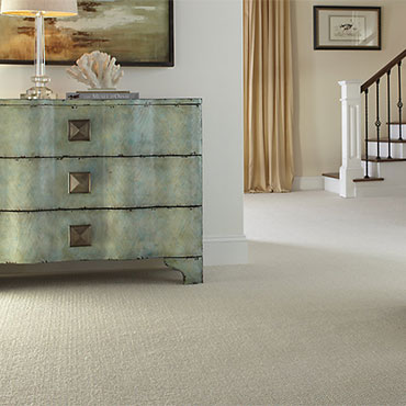 Wool Carpets: The Best Carpets for Allergies