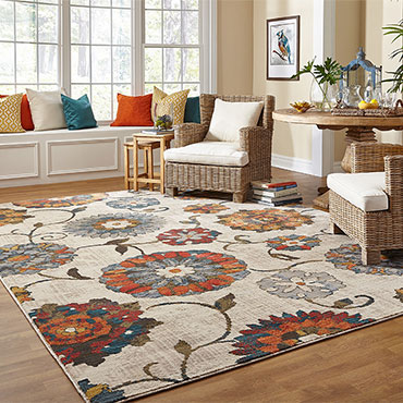 Rugs 101